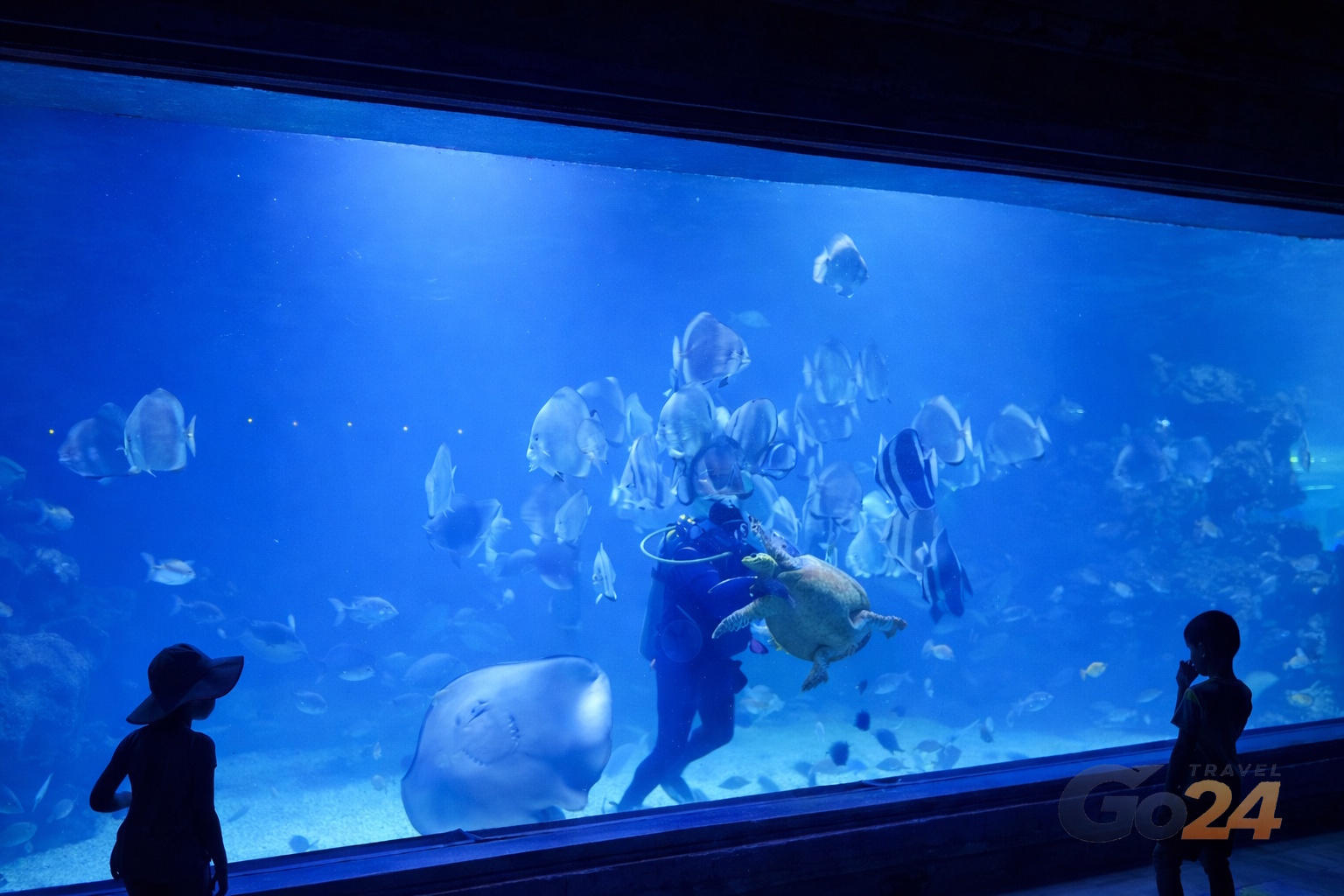 Grand Aquarium
