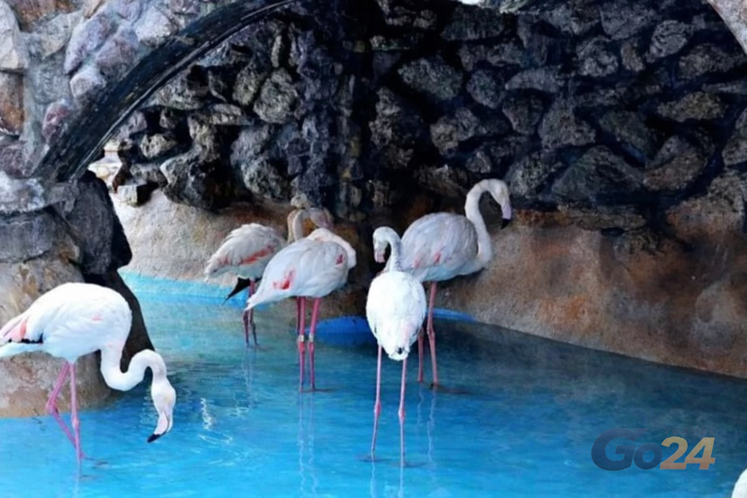Grand Aquarium